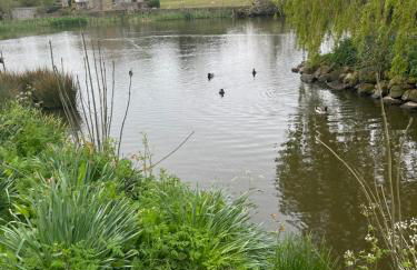 Lavender Cottage Grewelthorpe Nr Masham Ripon - Foto 57