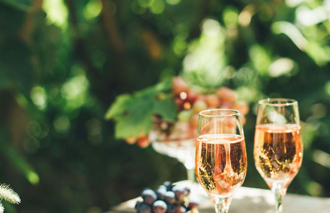 Visita di una fattoria biodinamica + Degustazione di vino - Foto 1