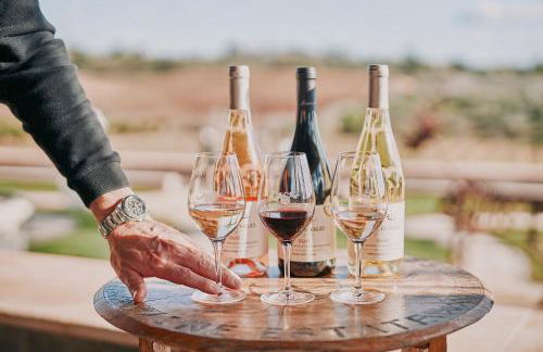 Quinta dos Vales Wine Estate - Foto 10