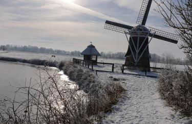 Strobels Ferienhaus - Foto 43