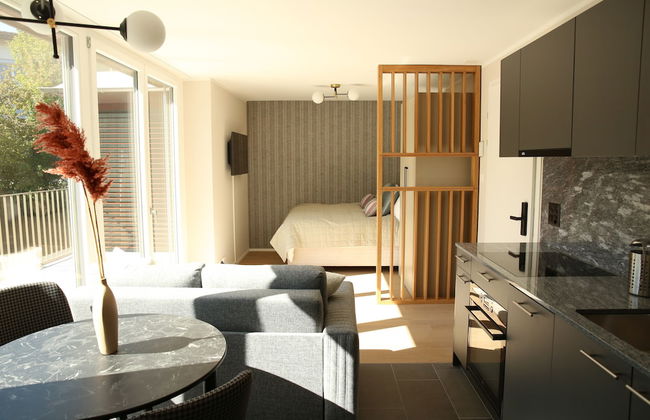Lamira Serviced Apartments Zurich City - Foto 16