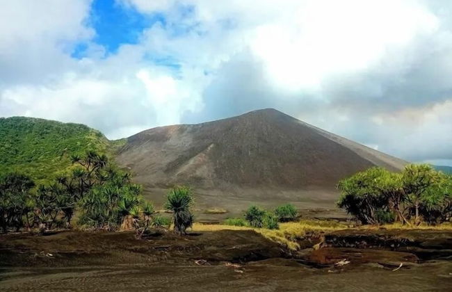 Glowing view tree house and Bangalow - Foto 41