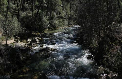 Mesoncillo NEO - Foto 59