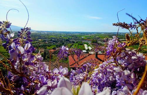 "Le Chat Libre" Alloggio Turistico - Foto 21