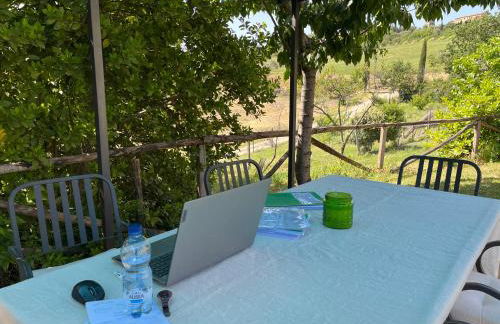 Agriturismo Le Querciole in Val d'Orcia - Foto 36