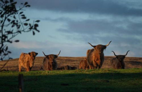 Oystercatcher - Converted luxury steading - Photo 20