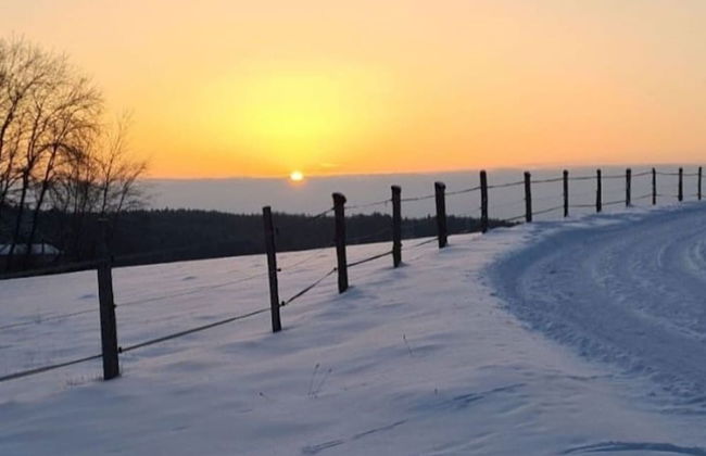 Cozy Holiday Home in Willersdorf With Pond - Photo 35