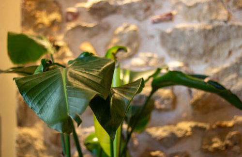 Serenity Luxury Estates - Foto 51