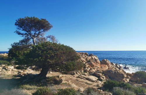 Relax Home - Foto 55