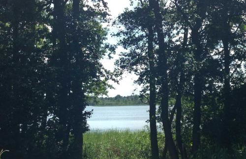 Ferienwohnung Mohnblume - Photo 33