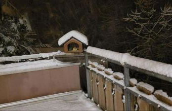 Forest Inn, retreat in nature - Foto 9