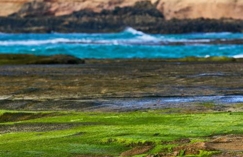 Molino de el Roque - Foto 39