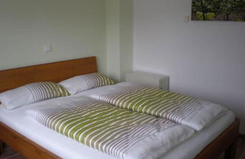 Holiday Home Weingut Mertes - Foto 20