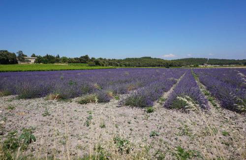Villa La Marpierre - Foto 43