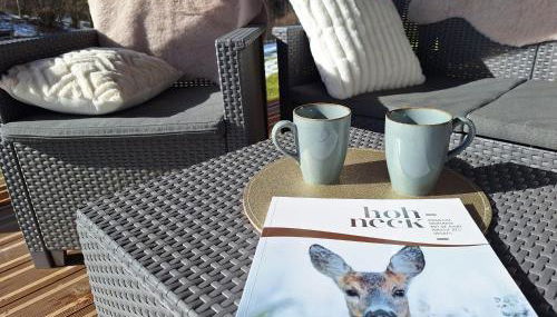 Chalet l'Appel de la Forêt - Foto 4