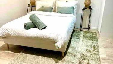 Studio 2 Joli studio neuf veranda d ete bords de Marne 5 km paris - Foto 3