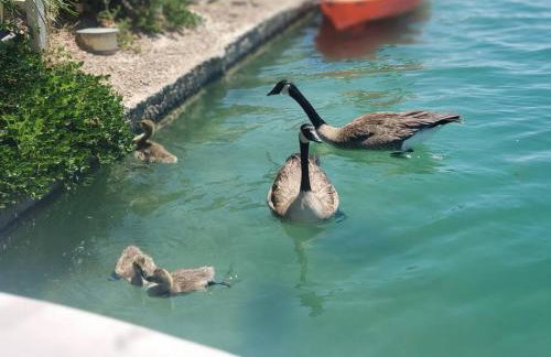 Terra Lago Villa Lake, Mountain and Desert view, Coachella Getaway - Foto 44