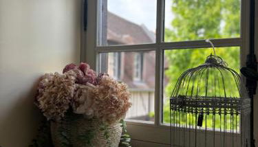 Agnes Little Corner - Foto 5, Garden view