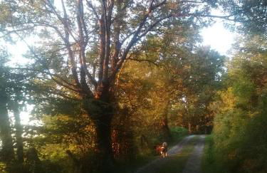 Casa Rural Haitzetxea - Foto 33