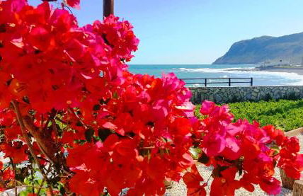 BEACH HOUSE - Foto 25