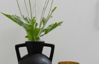 New Elmhurst Gem - Game Room & Amazing Yard - Foto 29