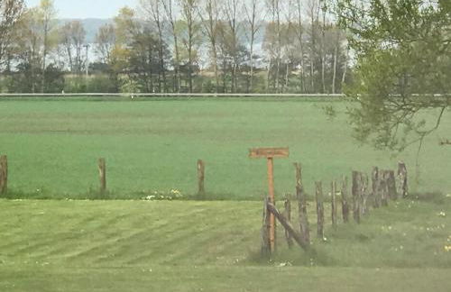 Ferienresidenz am Salzhaff - Foto 43