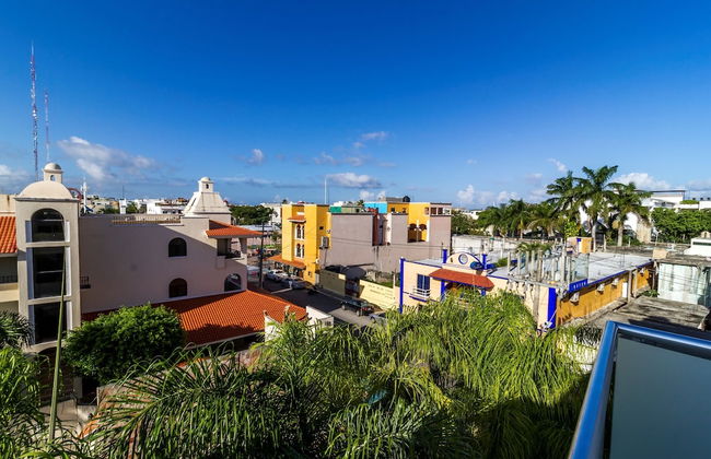 La Papaya Plus 303 by Vimex - Foto 10