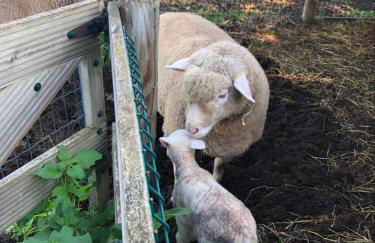 QR Casas de Campo - Foto 68