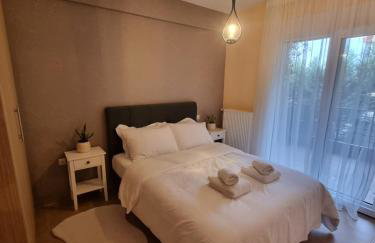 Morfeas Apartment Ioannina - Foto 9