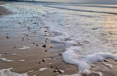 The Coach House Branksome - Photo 56