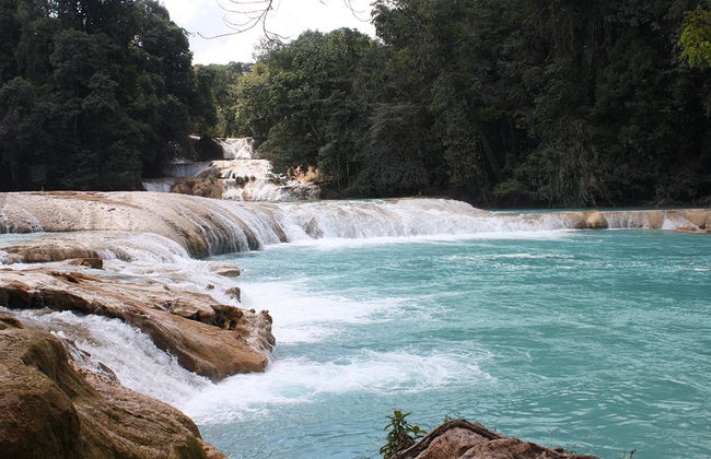 Agua Azul, Misol-Há und die archäologische Zone von Palenque - Auf Spanisch - Foto 3
