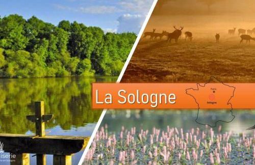 Gîte en Sologne - La Deniserie - 94m2 avec Garage - Foto 57