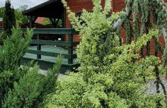 Siesta Country - Foto 46