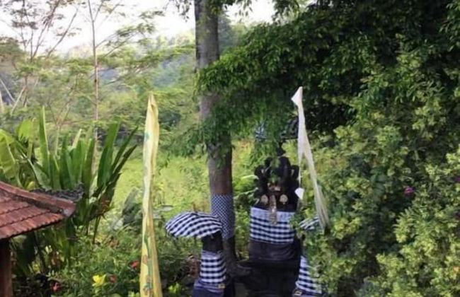 Beji Ayu Villas Sidemen - Foto 62