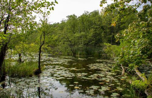 Apartment in Müncheberg 53547 - Photo 19