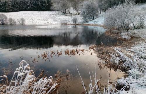 Buckieburn - self-catering - rural - Foto 24