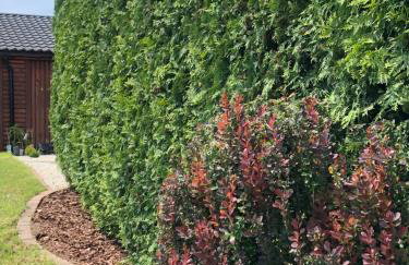 Mazury na Śląsku - Dom Wakacyjny z basenem - Foto 58