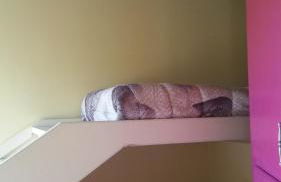 Ulivo Della Querce - Foto 14