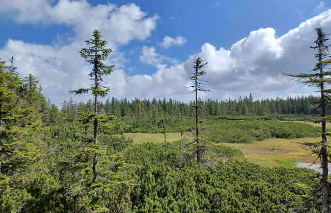 Sluneční stráň III - Foto 19