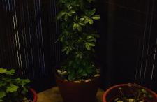 Central Apartment Near The beach with huge private terrace - Foto 35