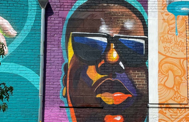 Brooklyn Graffiti Tour - Foto 4