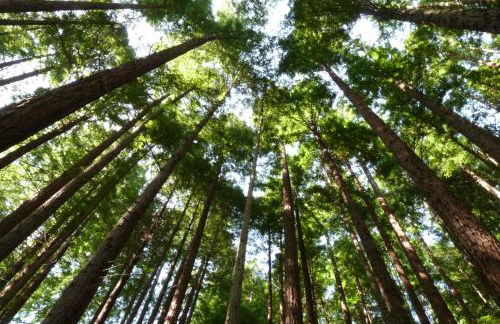 Ático Nuevo con vistas - Foto 16