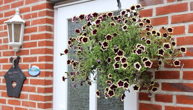 Meislahnhof Fehmarn - Foto 2, Zimmer