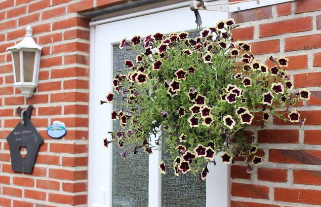 Meislahnhof Fehmarn - Foto 1