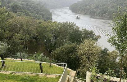 Casa Paz - Douro - Foto 24