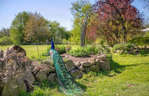 Ferienwohnung Galerie unterm Reet - Foto 27