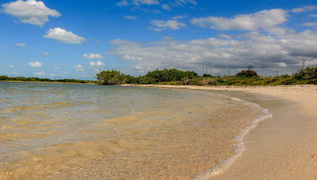 Plage de Río Lagartos