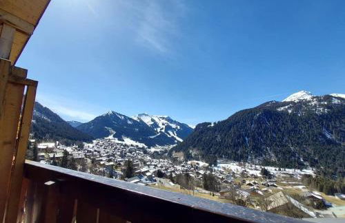 Les Vues de Lily - Châtel - Foto 30