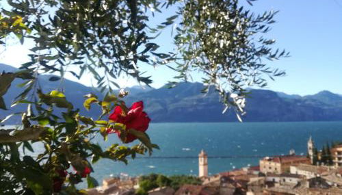 Dal Mariano - Foto 2