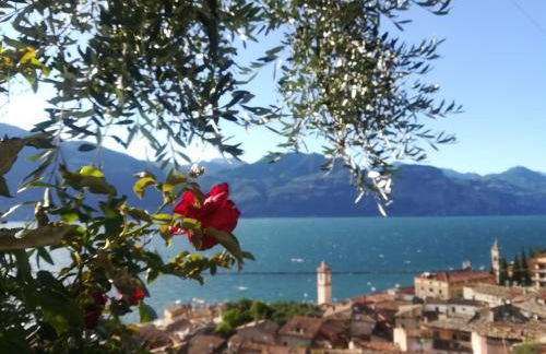 Dal Mariano - Foto 2